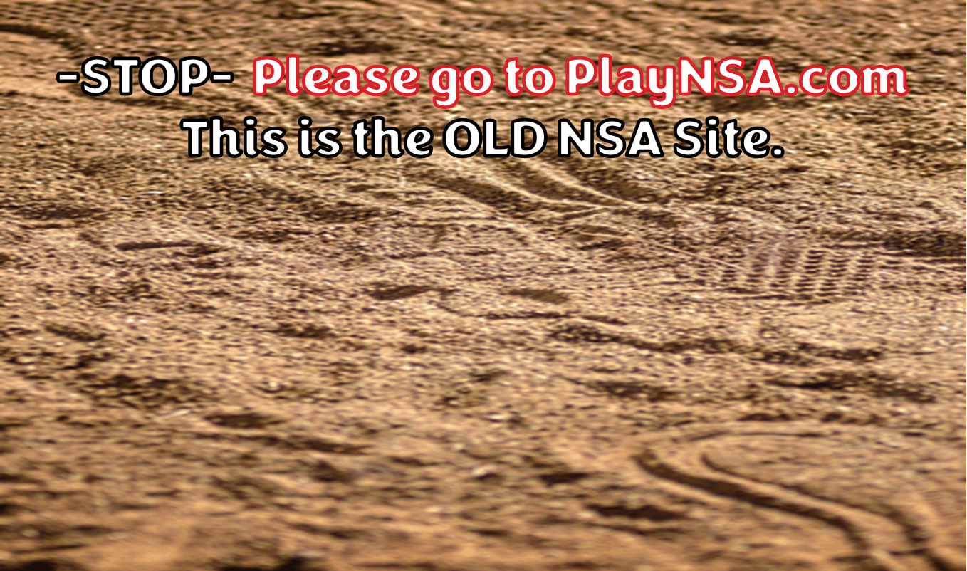 Go to PlayNSA.com